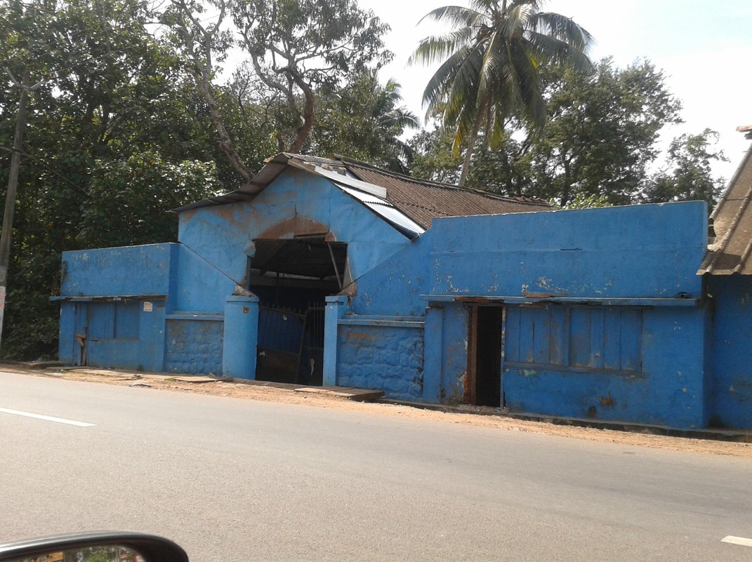 Vizhinjam Marine Aquarium景点图片