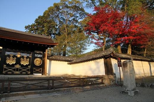 醍醐寺-京都市必去景点