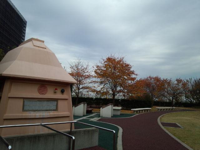 The Historic Square Hiragizuka Kofun Tomb-朝霞市必去景点