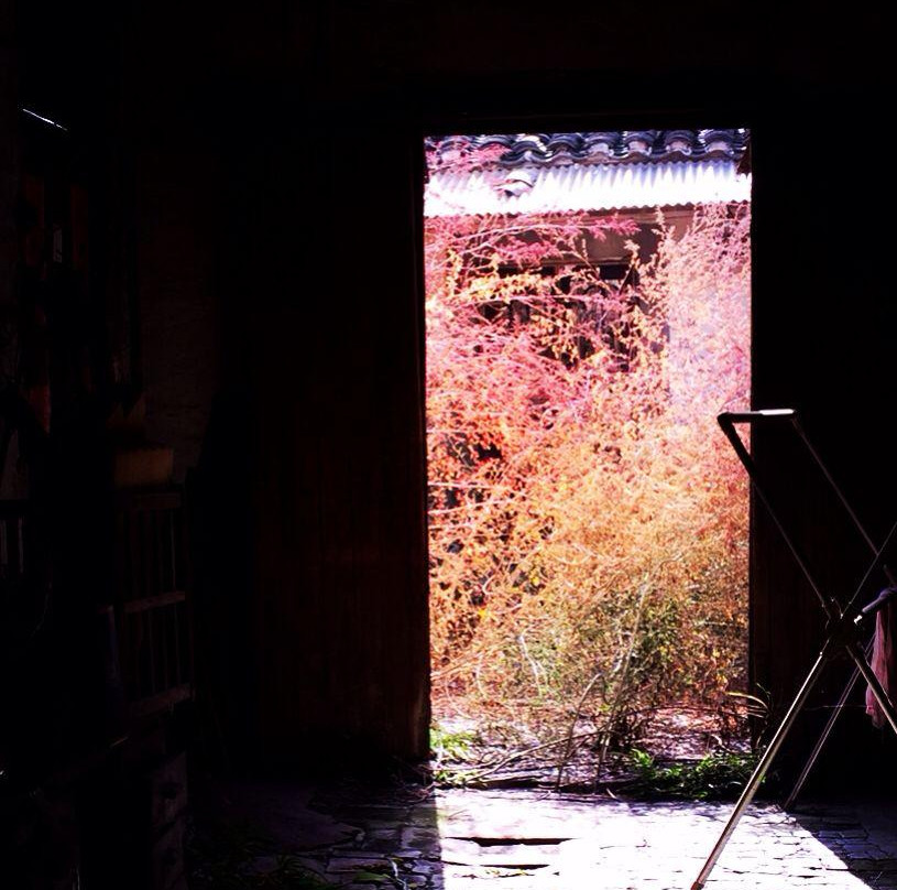 青果巷-常州市必去景点