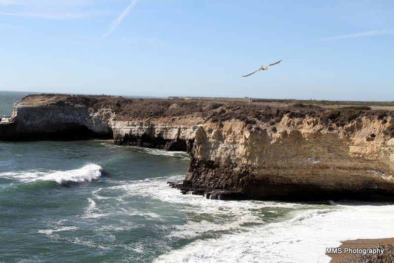 Wilder Ranch State Park-圣克鲁斯必去景点