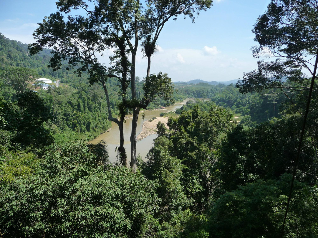 Taman Negara National Park-彭亨必去景点