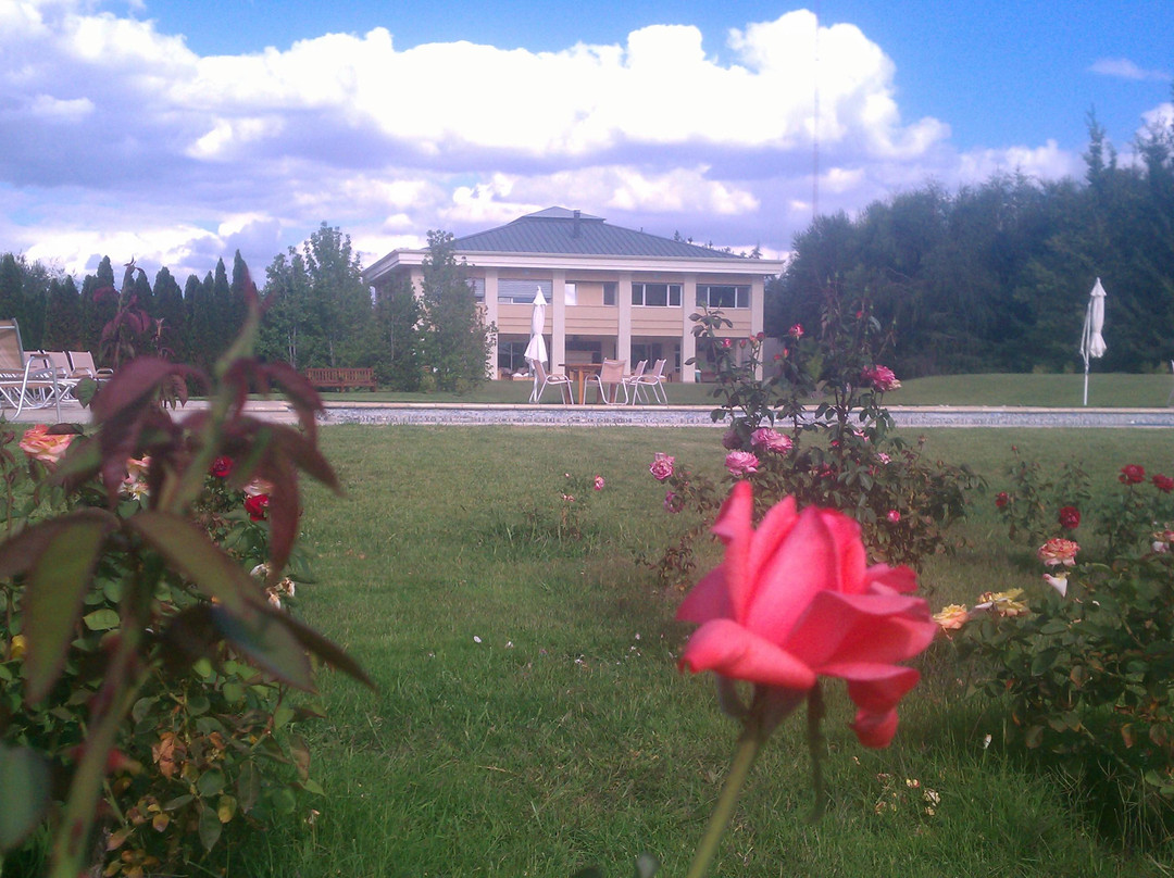 Via Vento-Godoy Cruz必去景点