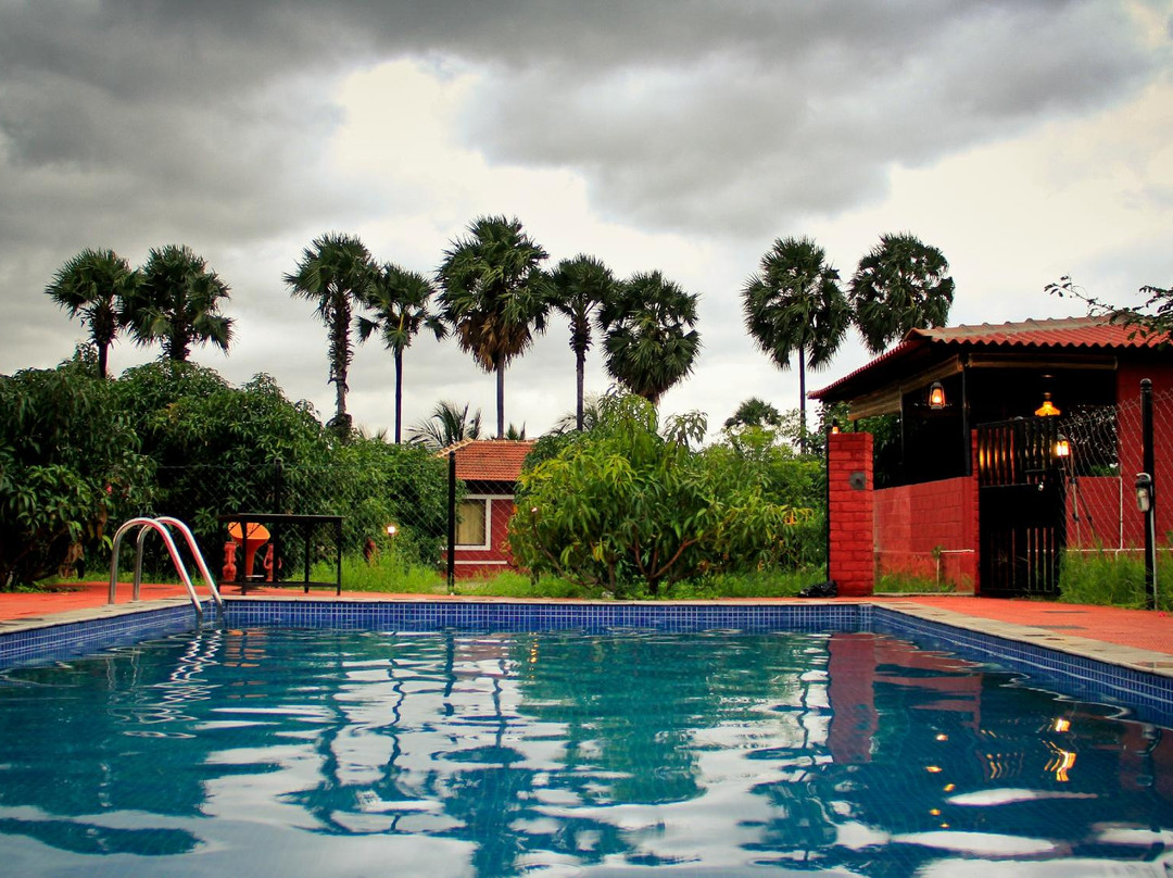 The Dense - A resort