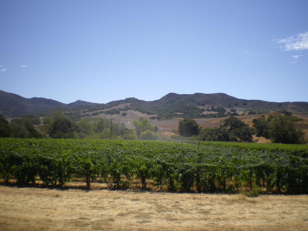 Lompoc Wine Ghetto-隆波克必去景点