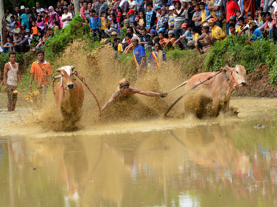 Lite 'N' Easy Tour-武吉丁宜必去景点