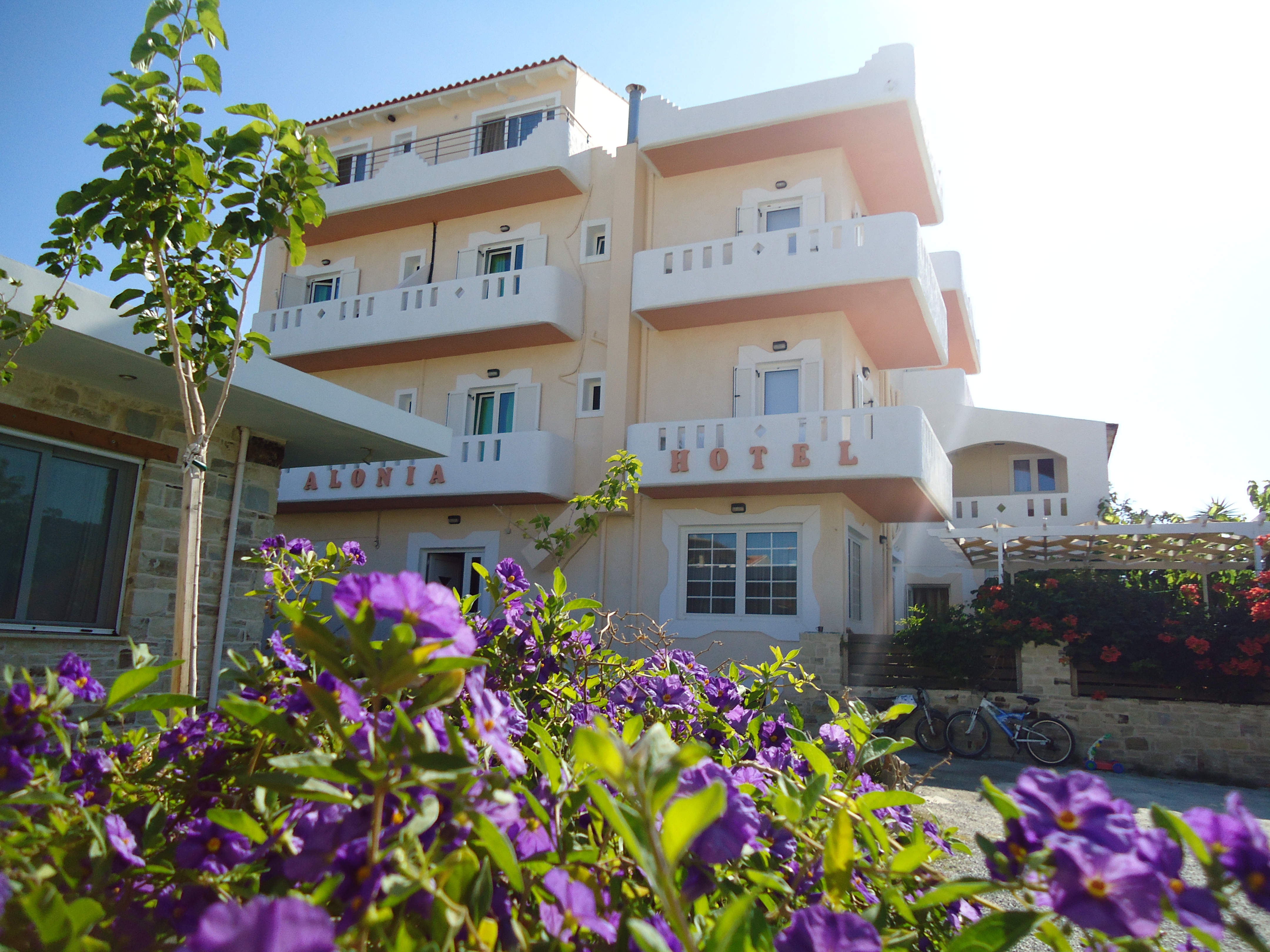 Hotel Alonia-官方