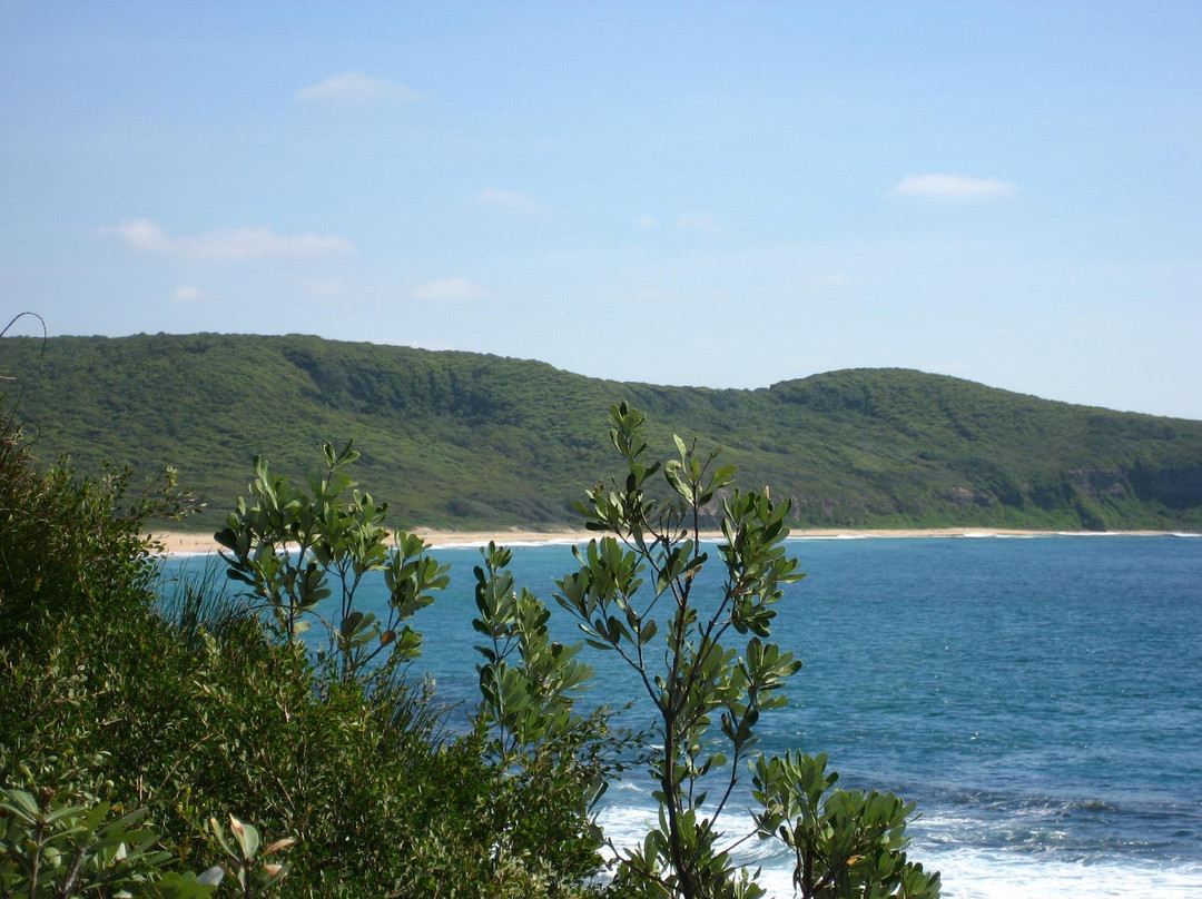 Dudley Beach景点图片