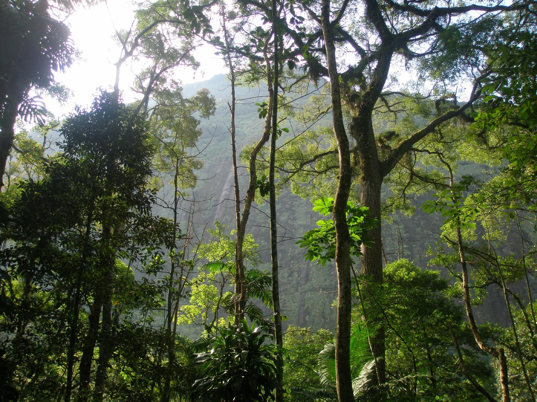 Parque Nacional da Tijuca-里约热内卢必去景点