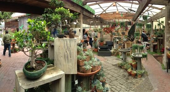 The Garden Gallery景点图片