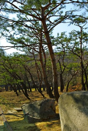 Incheon Grand Park-仁川必去景点
