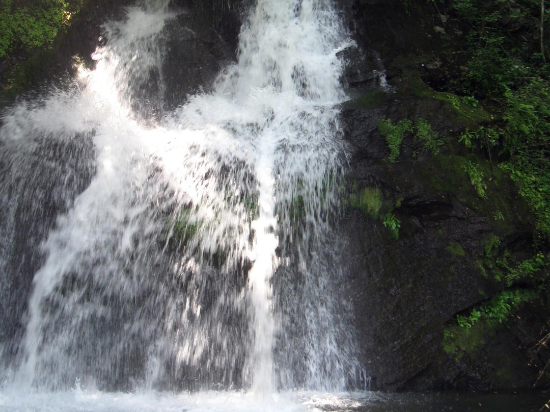 Jocassee Lake Tours-Salem必去景点