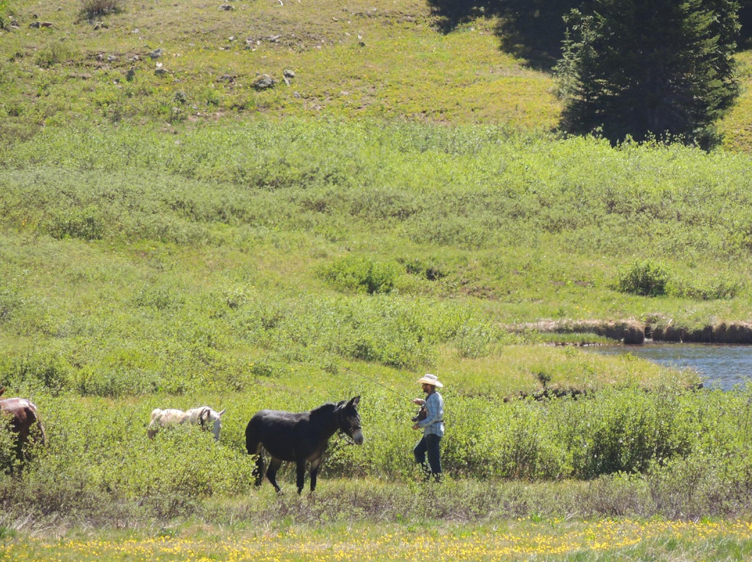 Outwest Guides - Day Tours-Marble必去景点