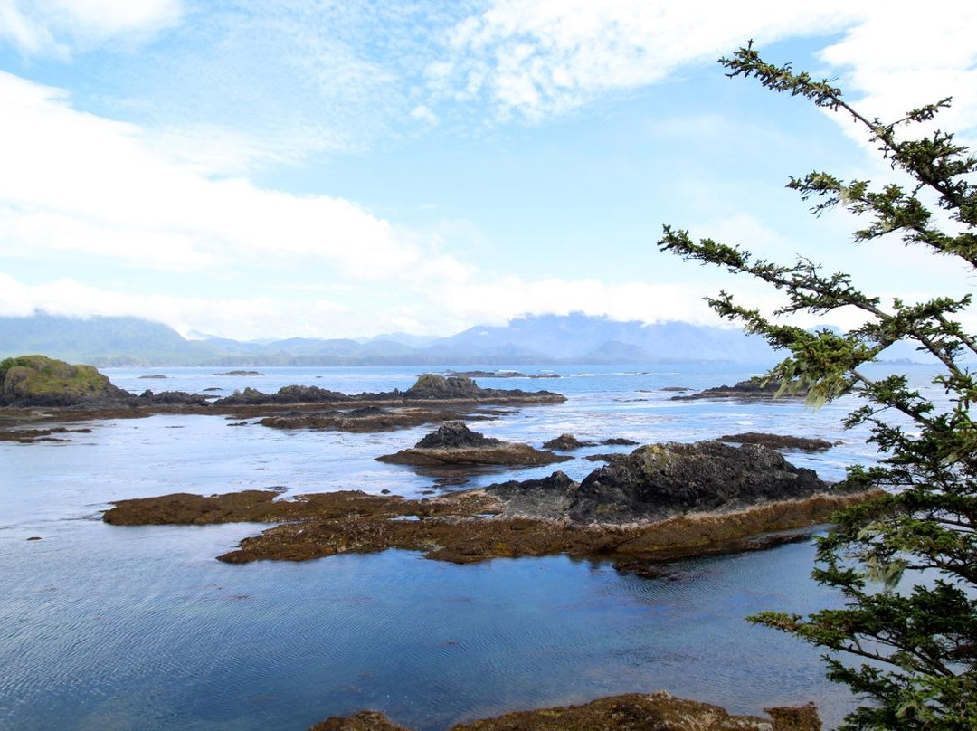 West Coast Expeditions景点图片