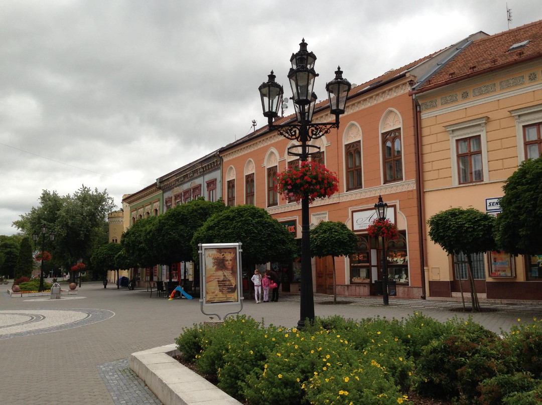 Komarno City Centre-Komarno必去景点