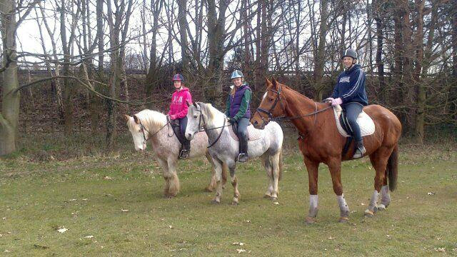 Wythenshawe Park Riding Stables景点图片