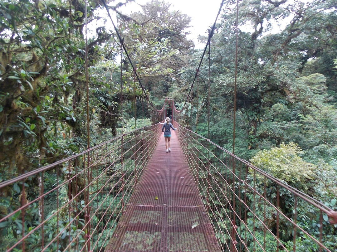 Monteverde Cloud Forest Biological Reserve景点图片
