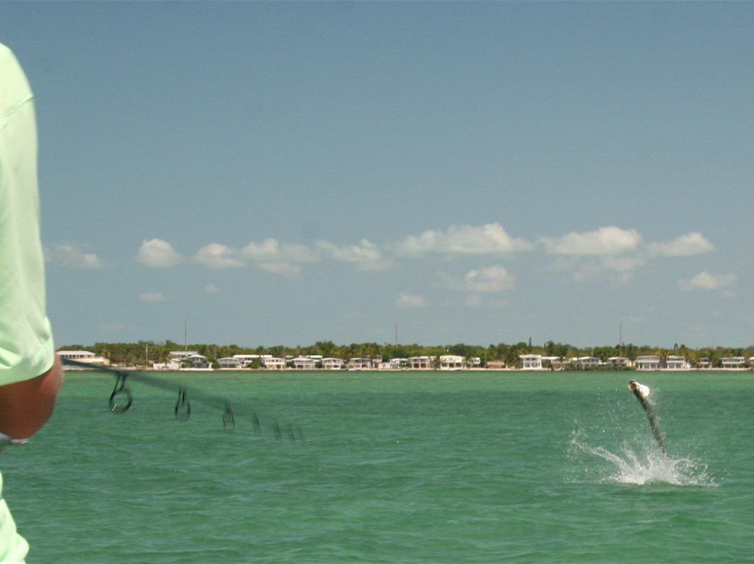Florida Keys Flats Fishing-Tavernier必去景点