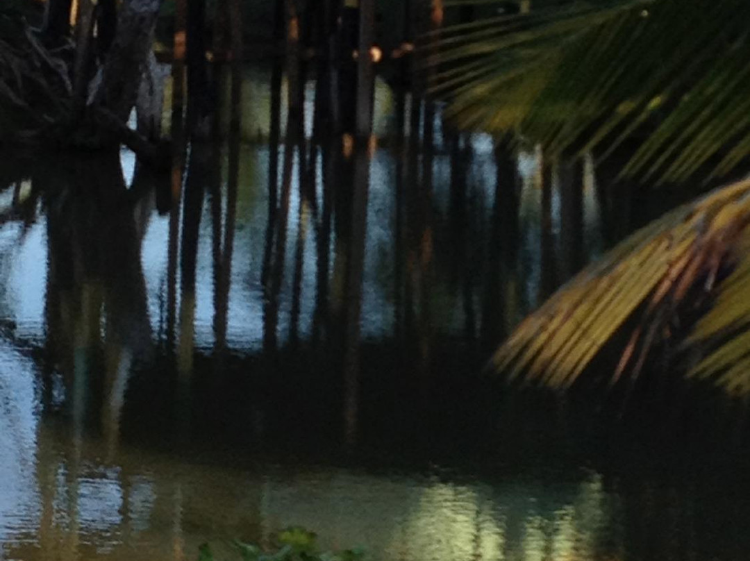 Percy's Riverside Retreat-Orange Bay必去景点
