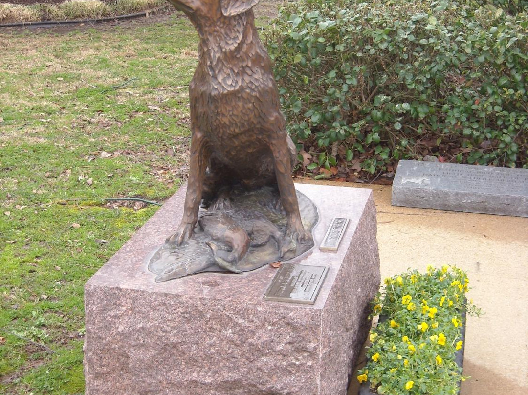 National Bird Dog Museum景点图片