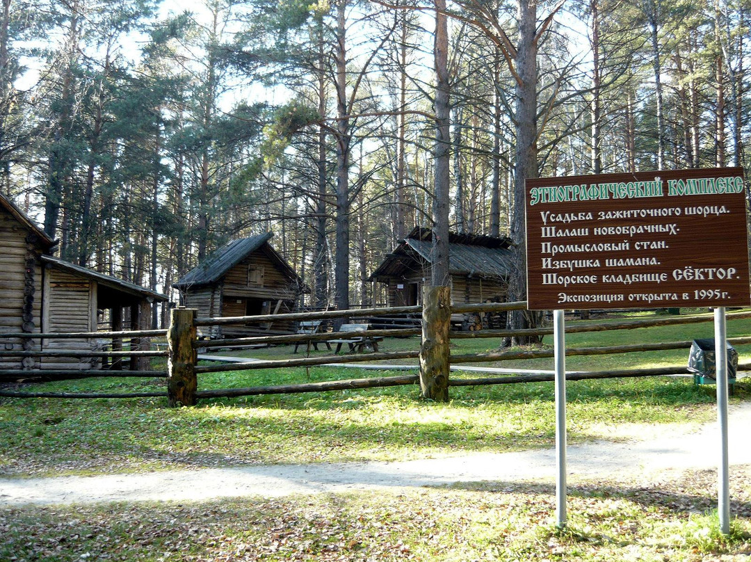 Tomskaya Pisanitsa Museum Preserve景点图片