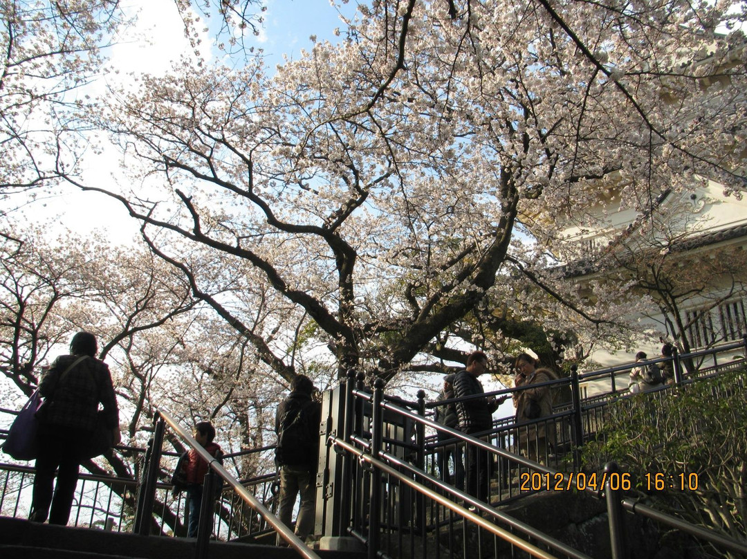 Odawara Castle Park景点图片