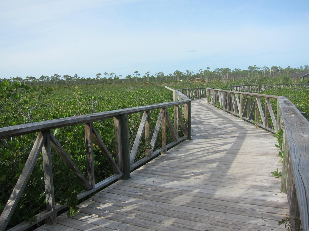 Gold Rock-大巴哈马岛必去景点