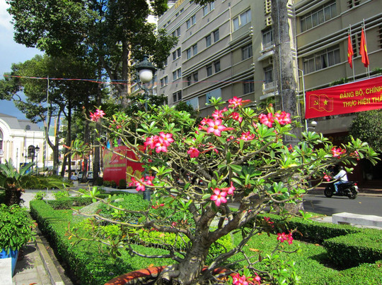 同起街-胡志明市必去景点