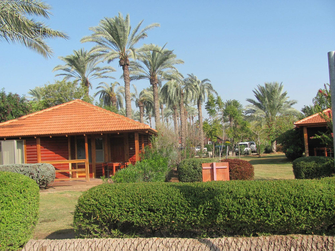 Kibbutz Nir-David (Tel-Amal)