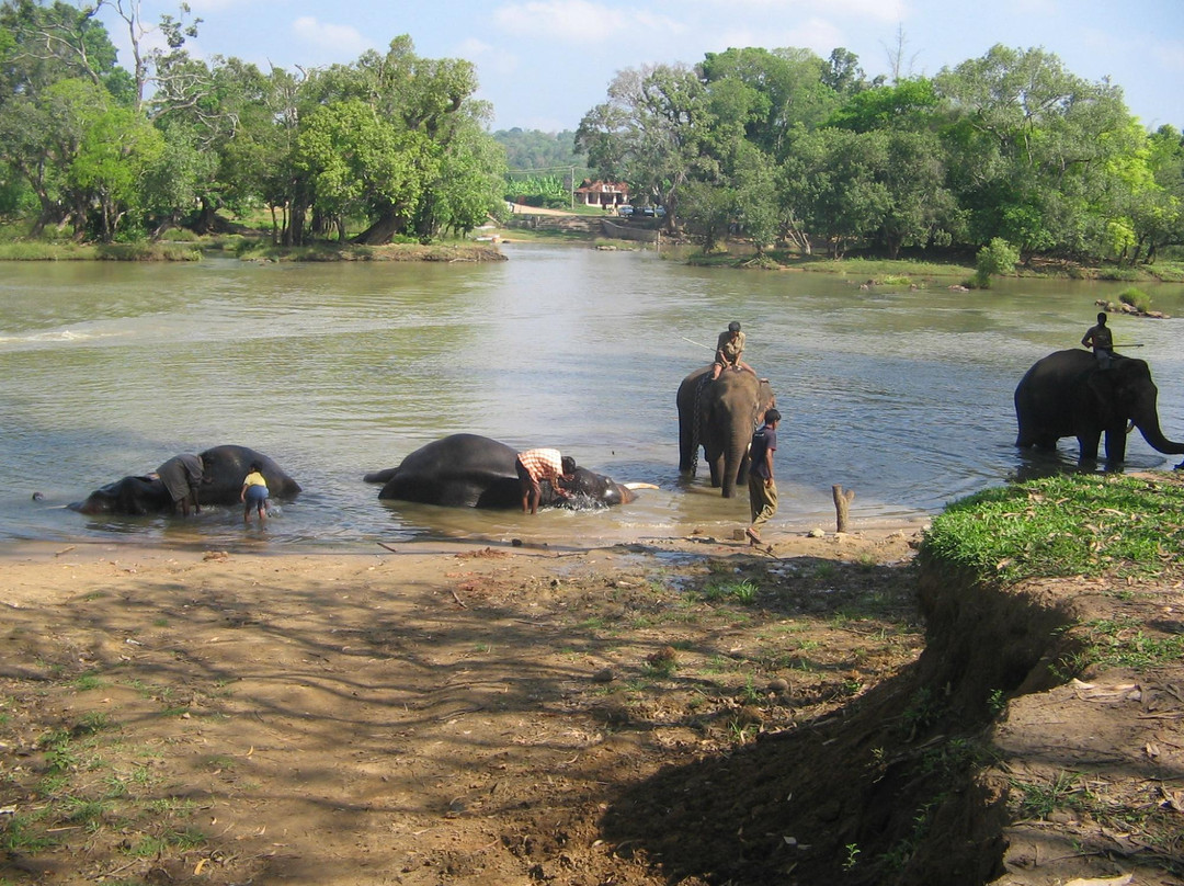 The Last Resort主图