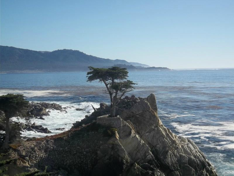 17英里路-蒙特雷必去景点