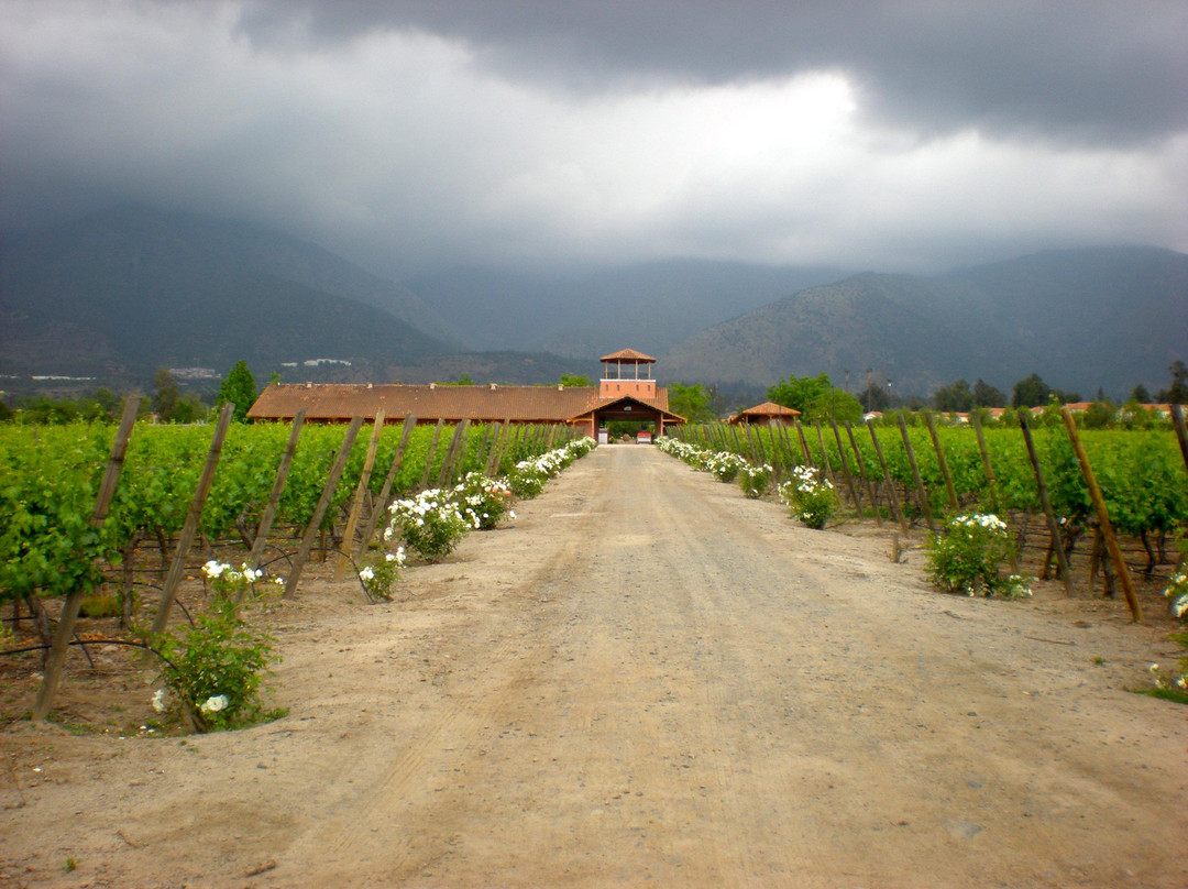 Vina Aquitania景点图片