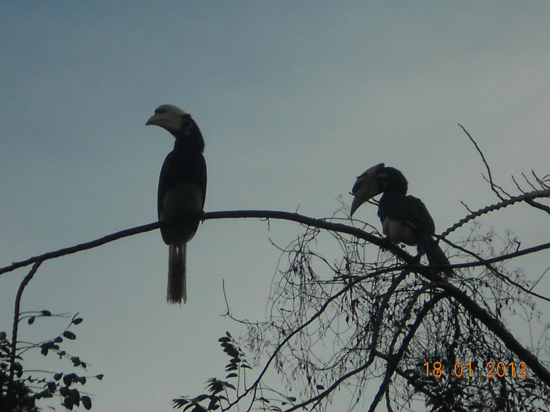 All Borneo Connection - Day Tours-亚庇必去景点