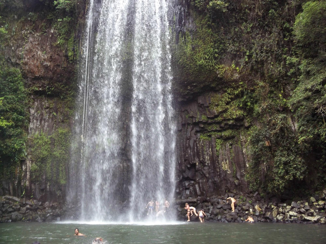 Millaa Millaa Falls-Millaa Millaa必去景点