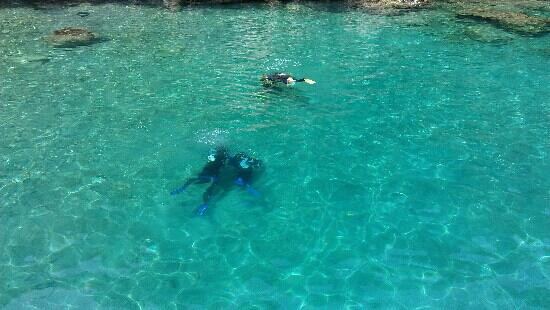 Mermaid Diving Club景点图片