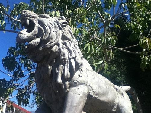 Parque Juarez  El Llano-瓦哈卡必去景点