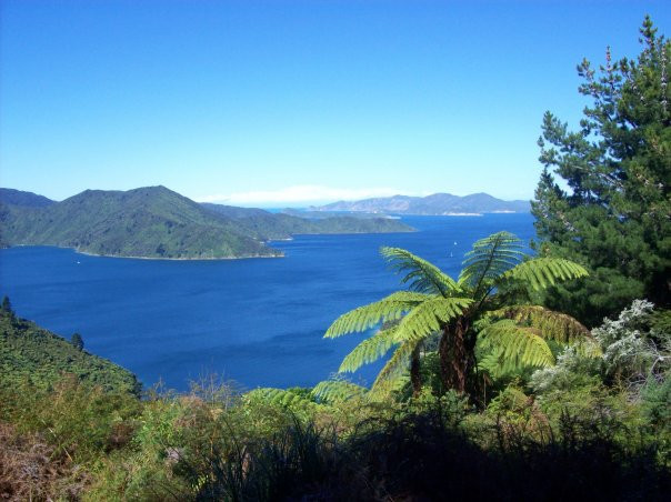 马尔堡峡湾景点图片