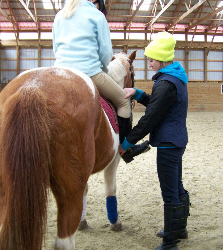 Holly Ridge Farm Equestrian Center-Willards必去景点