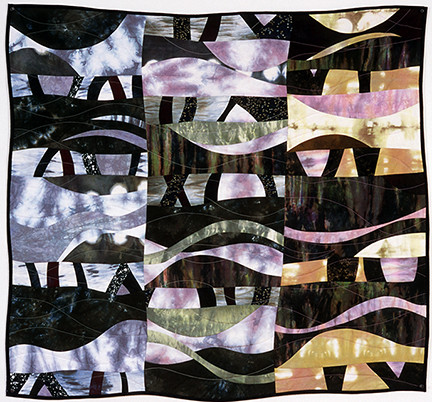 Ann Schroeder Studio: Fine Art Quilts景点图片