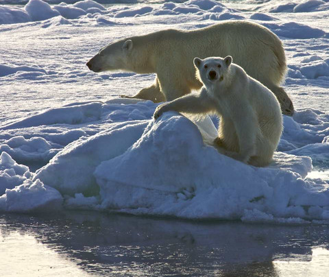 Spitzbergen Adventures-朗伊尔城必去景点