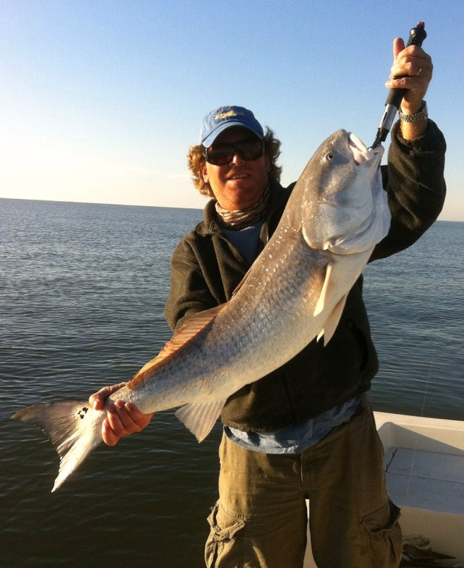 Coffee Bluff Marina-萨凡纳必去景点