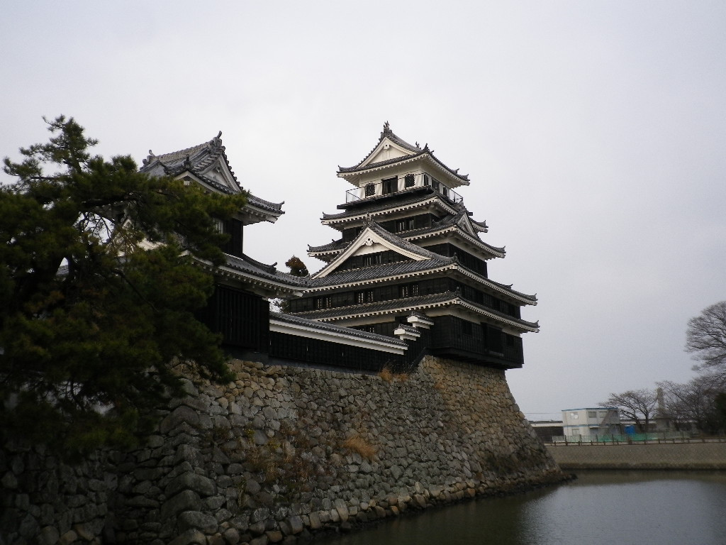 Nakatsu Castle景点图片