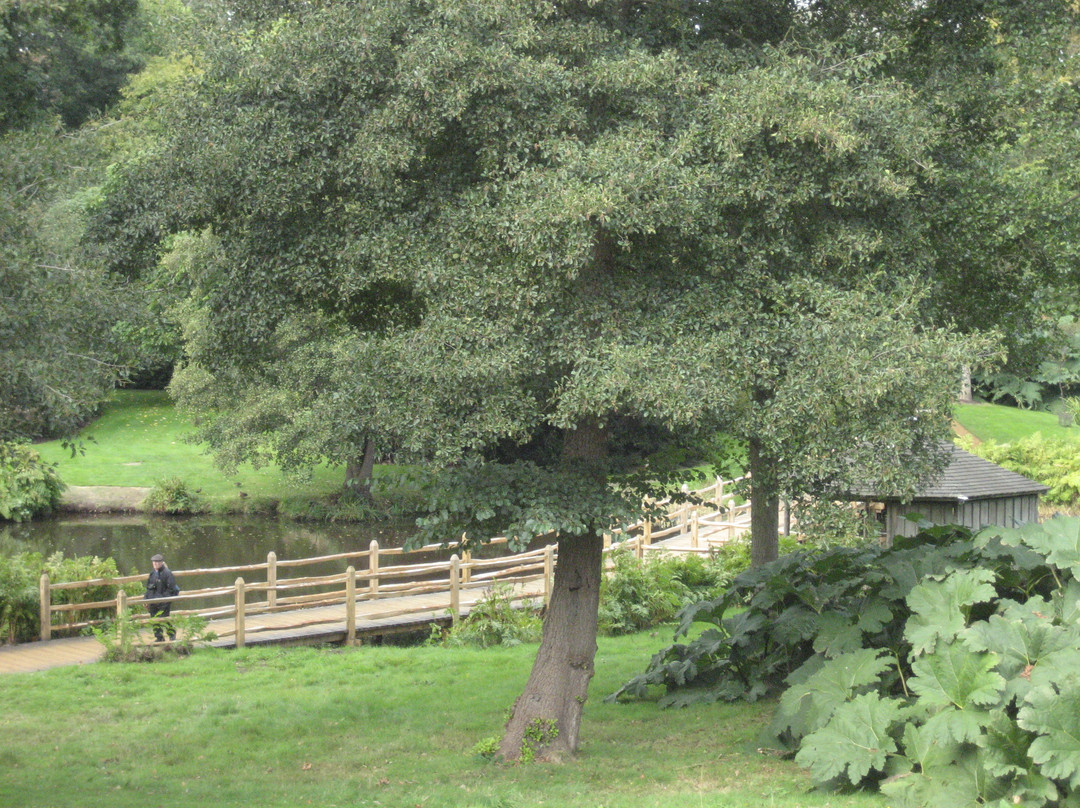 Savill Garden景点图片