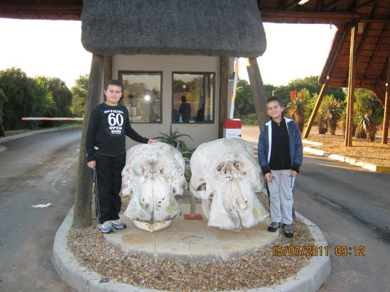 Addo Raptor and Reptile Centre-Addo Elephant National Park必去景点