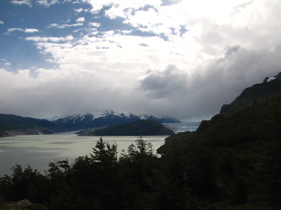 Glaciar Grey-纳塔莱斯港必去景点