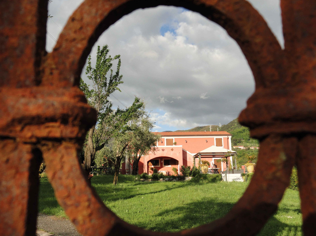 Il Giardino delle Esperidi主图