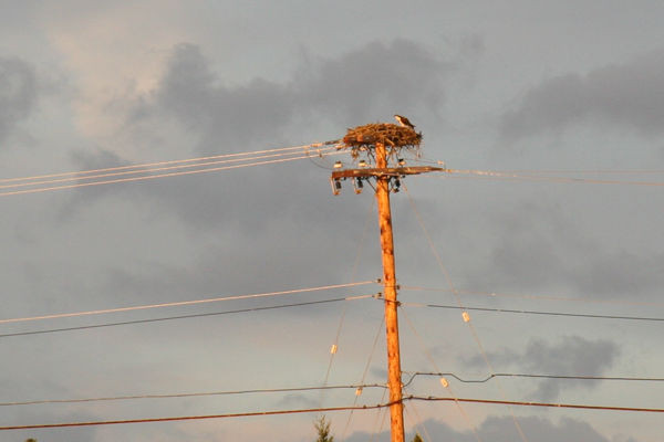 Bluenose Sidecar Tours-哈利法克斯必去景点
