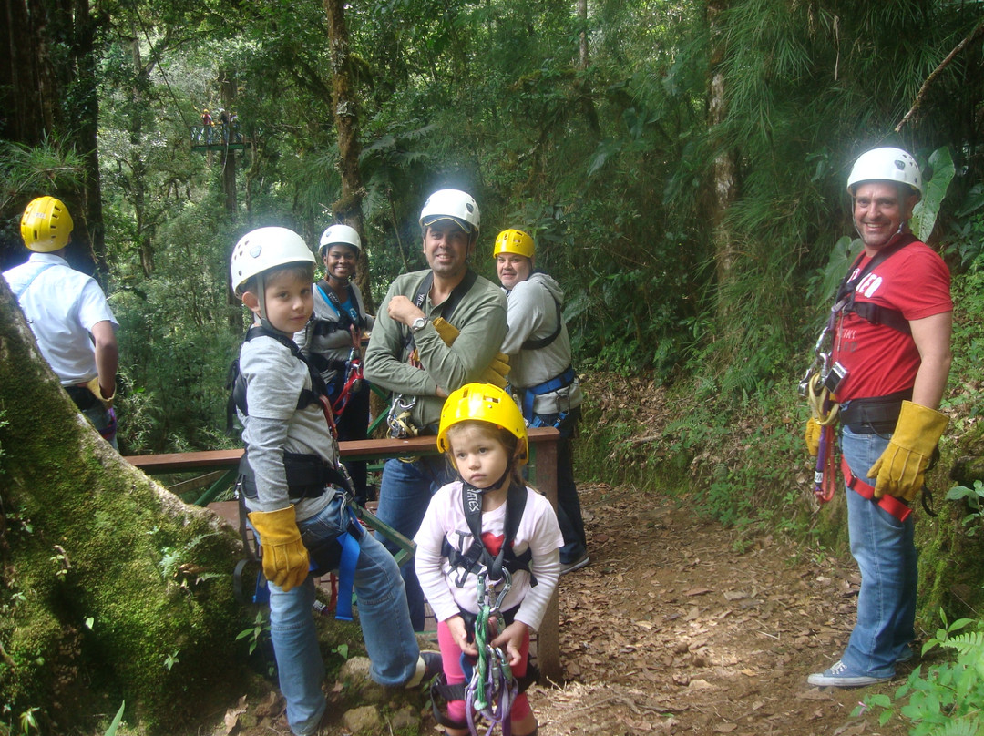 Canopy Tour at Hotel Trogon Lodge景点图片