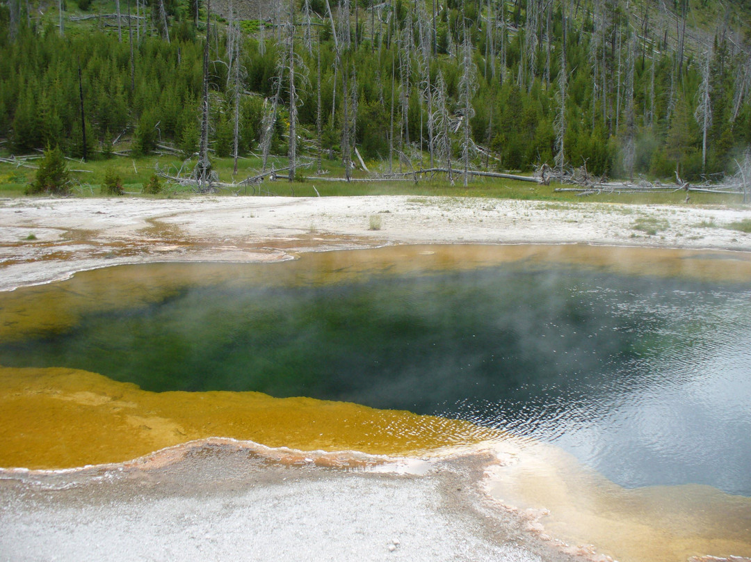 上间歇泉盆地-黄石国家公园必去景点