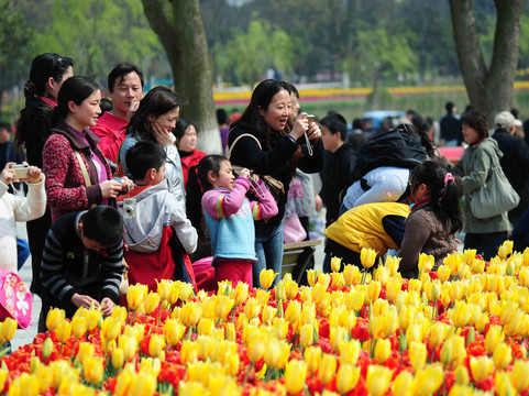 上海鲜花港-上海市必去景点